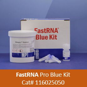  [매뉴얼] FastRNA Pro Blue Kit
