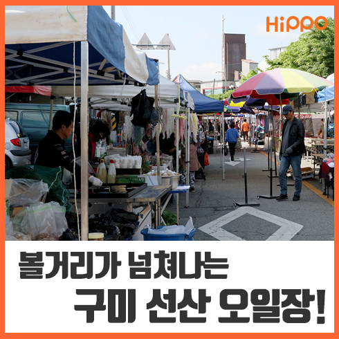 [경북] 보물이 숨어있는 구미 선산 오일장/ 선산 봉황 시장