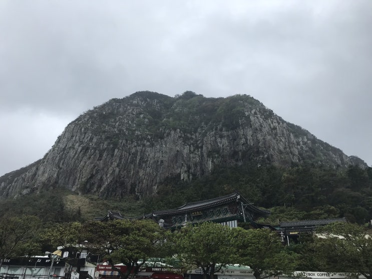  가을 여행_제주도 힐링 여행③