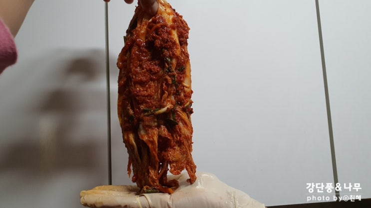  국산김치 김치담는마을 맛있게 보쌈 한입