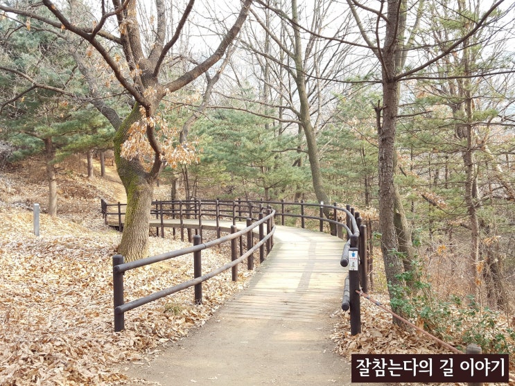  북한산둘레길 8구간 구름정원길을 가다