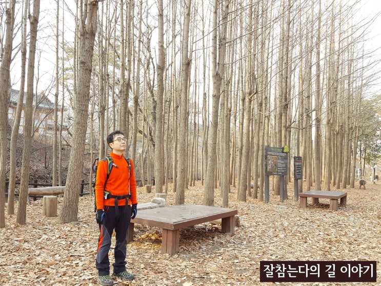  북한산둘레길 9구간 마실길을 가다