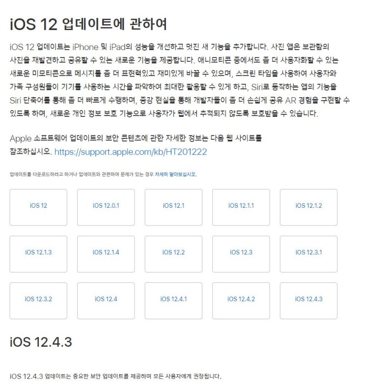 구형 애플 아이폰/아이패드 ( Apple iphone / ipad ) iOS 12.4.3 업데이트 / 내용 / 방법