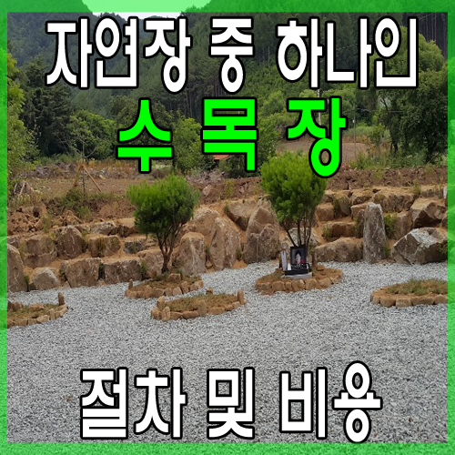  자연장(自然葬) 관리가 쉬운 수목장으로 묘지이장은 어떻게 진행될까