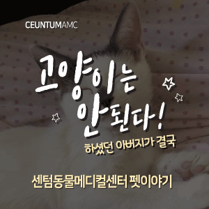  [동물뉴스]고양이는 안 된다! 하셨던 아버지가 결국(부산분과전문동물병원, 365일연중무휴)