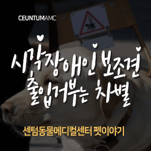 [동물뉴스]시각장애인 보조견 출입거부는 차별(부산분과전문동물병원, 365일연중무휴)