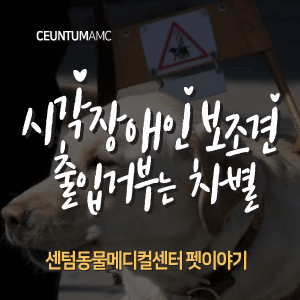  [동물뉴스]시각장애인 보조견 출입거부는 차별(부산분과전문동물병원, 365일연중무휴)