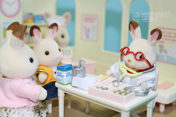  [실바니안] 어린이 병원(Country Doctor Gift 3642)