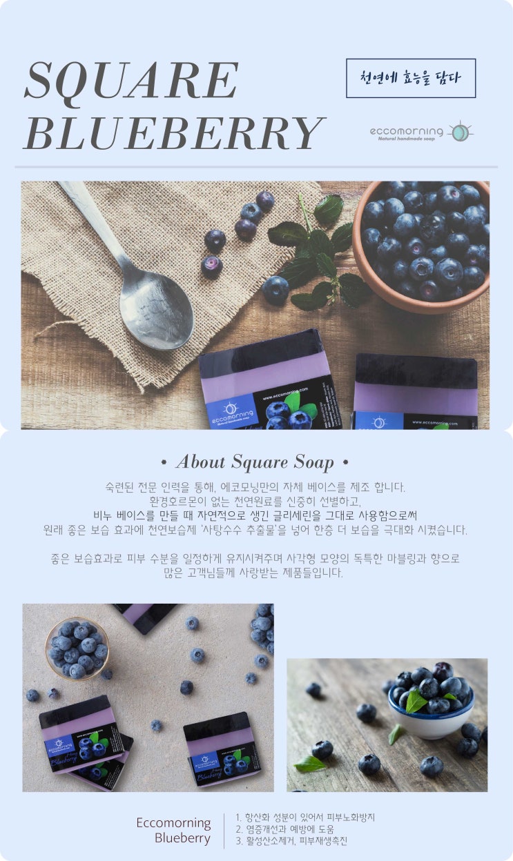  에코모닝 착한레시피) 블루베리(Blueberry)