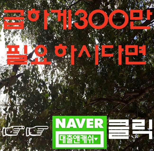  부산자영업대출을 당이로승인받았습니다