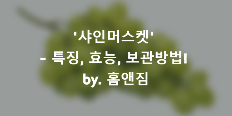  '샤인머스켓' 특징, 효능, 보관법! 묘목으로도 많이 심는다며?