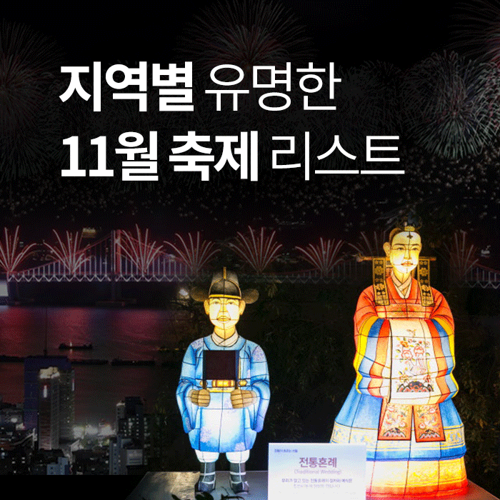 2019년 11월축제들 놓치지 말고 여행하세요! (서울, 부산, 대구, 창원 등)