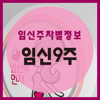  임신 9주차 정보