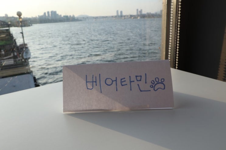  [대웅제약 YES! 서포터즈 1기] 챠밍의 기록 #1