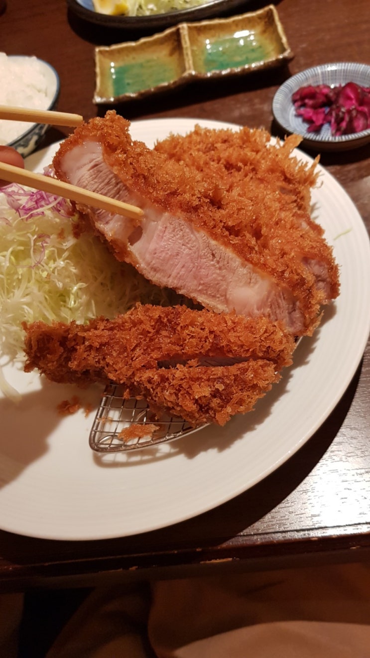 일본워홀] 긴자 돈카츠 맛집 아오키 돈카츠