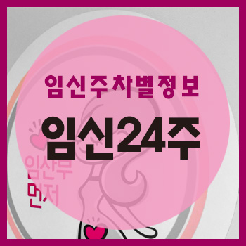  임신 24주차 정보