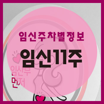  임신 11주차 정보