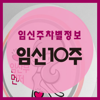 임신 10주차 정보