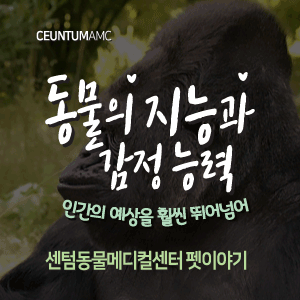  [동물뉴스]동물의 지능과 감정 능력, 인간의 예상을 훨씬 뛰어넘어 (부산분과전문동물병원, 365일연중무휴)
