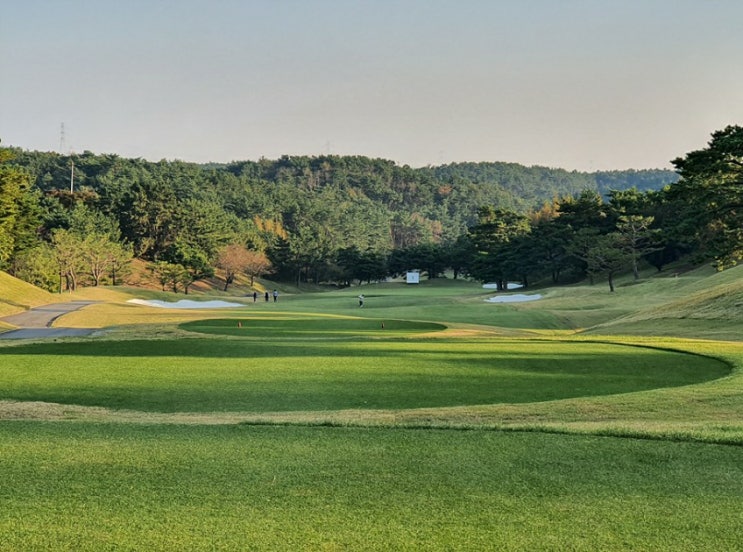  LPGA 인터내셔널 부산(아시아드CC) 라운딩후기