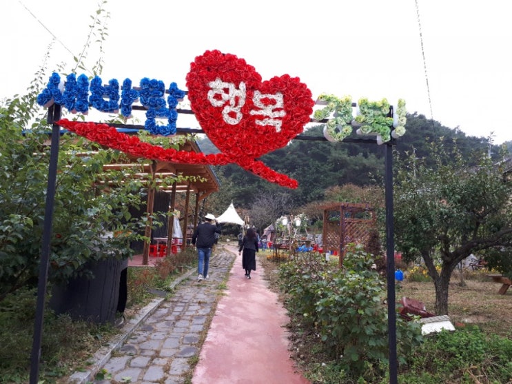  우와또와체험농장이  성주 가나안농장의 치유프로그램을 경험하다