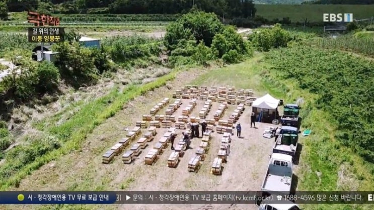 경주 토함산 꿀벌세상에 영덕기술센터 양봉교육생들이 양봉장 견학오셨어요