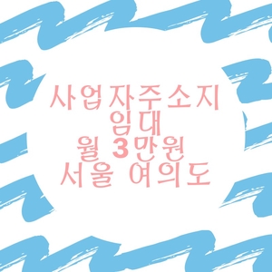  서울 사업자주소임대 월3만원 추가금액없음_여의도