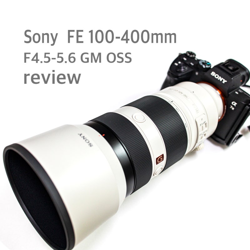 소니 Fe 100 400mm F4 5 5 6 Gm Oss 리뷰 Selgm 금백사 세 달 사용기 네이버 블로그