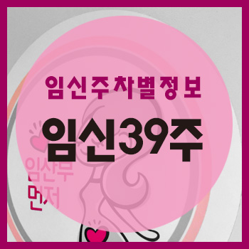  임신 39주차 정보