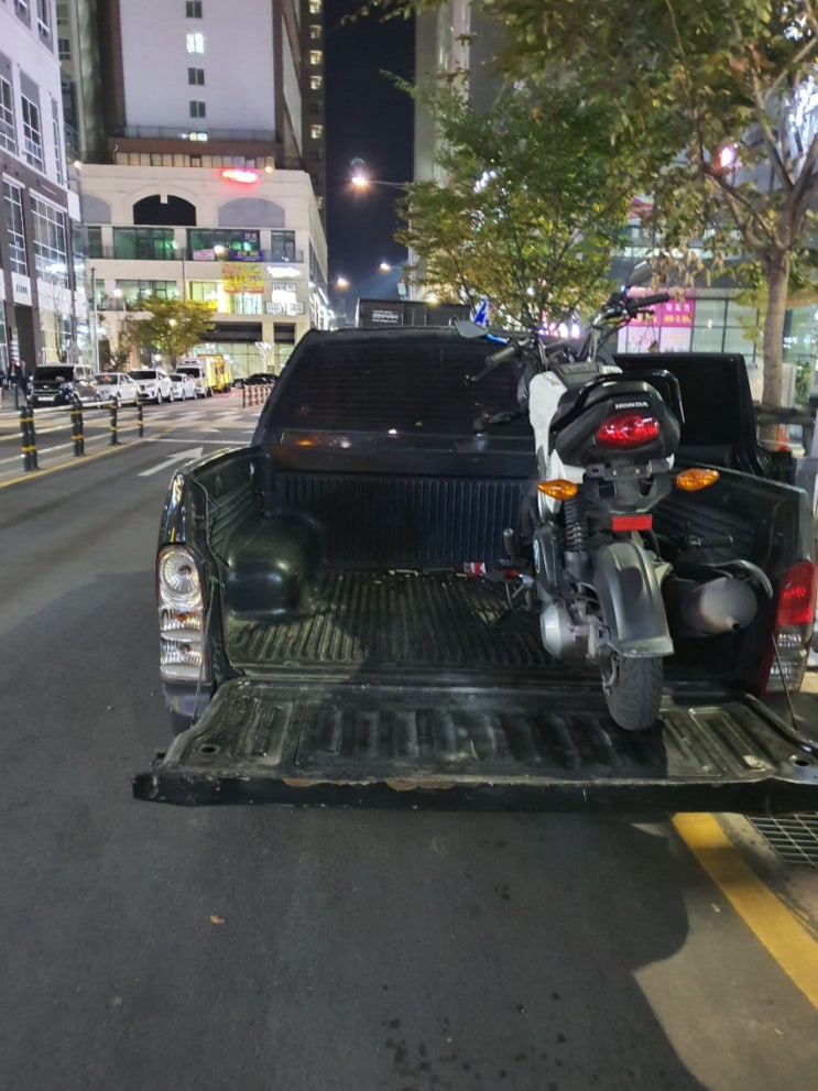  나비 110 2016 - 떠나보내다