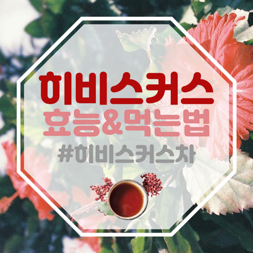  히비스커스 효능과 먹는법