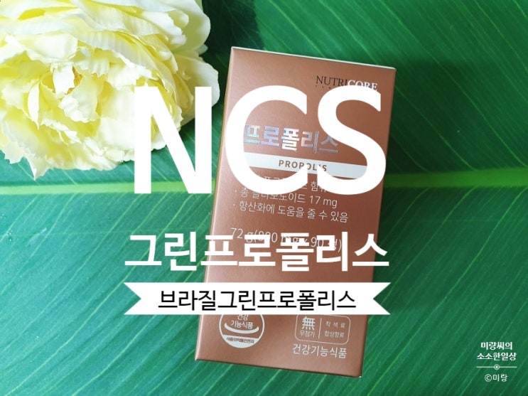 영양제 추천 NCS 브라질그린프로폴리스 항산화 영양제로 면역력 업