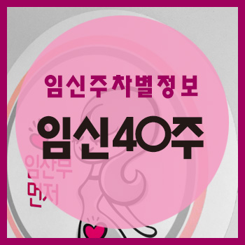  임신 40주차 정보