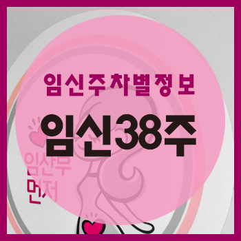  임신 38주차 정보