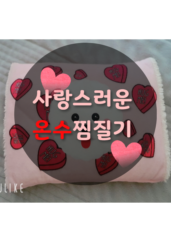  온수찜질기 비숑처럼 사랑스럽고 보들보들ㅎㅎㅎ