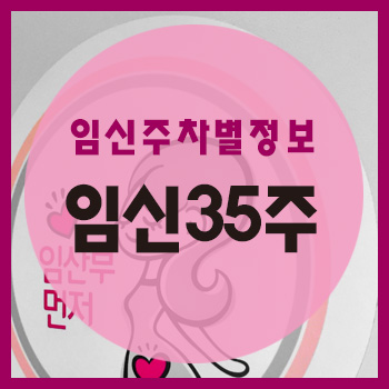  임신 35주차 정보