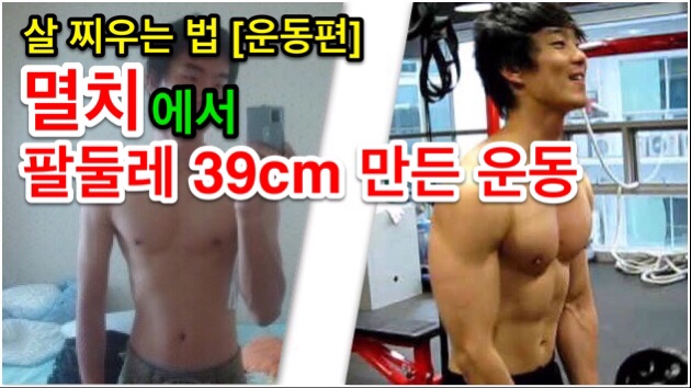  멸치에서 팔둘레 39cm 만든 프레스 다운 - 살 찌우는 법