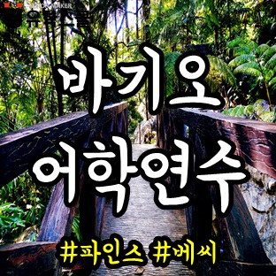  바기오어학연수, PINES어학원 BECI어학원의 대표 코스 비교해보자!