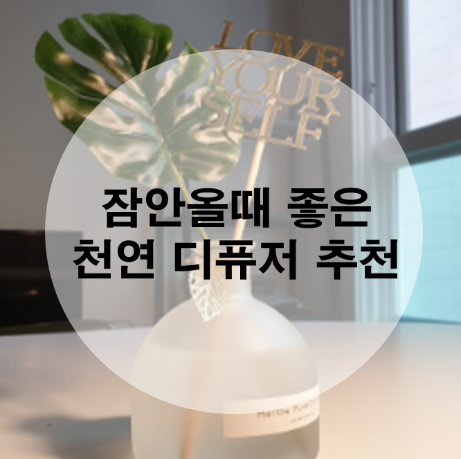  잠안올때 좋은 실내방향제 천연 디퓨저 추천  (feat. 집들이선물추천)