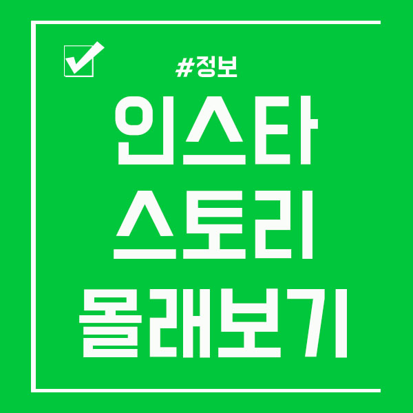 인스타 스토리 몰래보기 비밀스럽게~