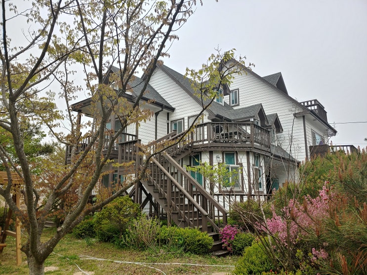  안면도펜션추천 받아 힐링 제대로