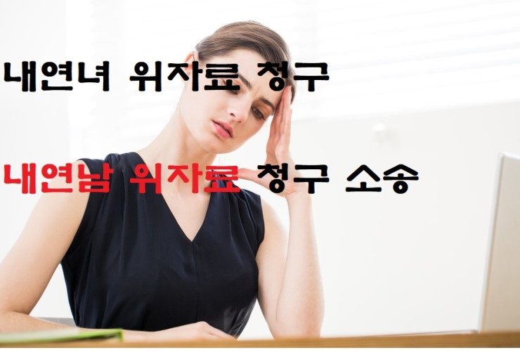  상간녀,내연녀 내연남 외도증거 상간자  불륜 위자료.