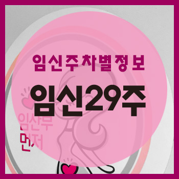  임신 29주차 정보