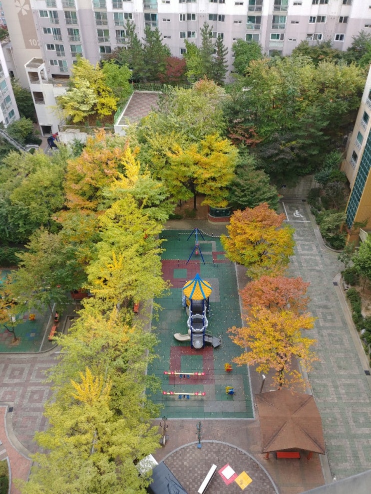  광교용달이사 친절한서비스로 잘하네요