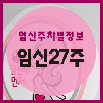  임신 27주차 정보