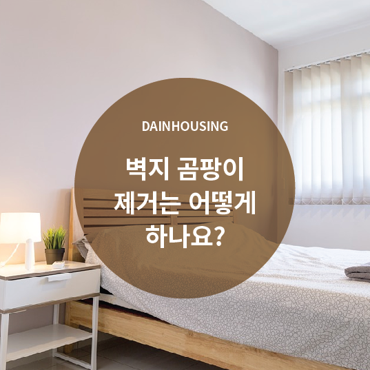  벽지 곰팡이 제거 어떻게 하나요?