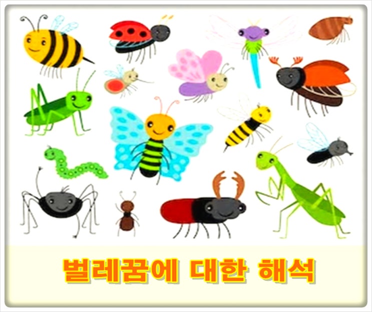  벌레꿈 주의하세요!