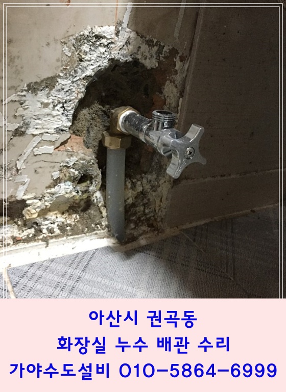 아산시 권곡동 주택 화장실벽에서 물이흘러나와요 화장실누수탐지전문 욕실누수전문 수도배관누수탐지전문