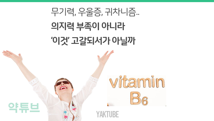 행복 비타민 B6 : 파리독신에 대하여 2