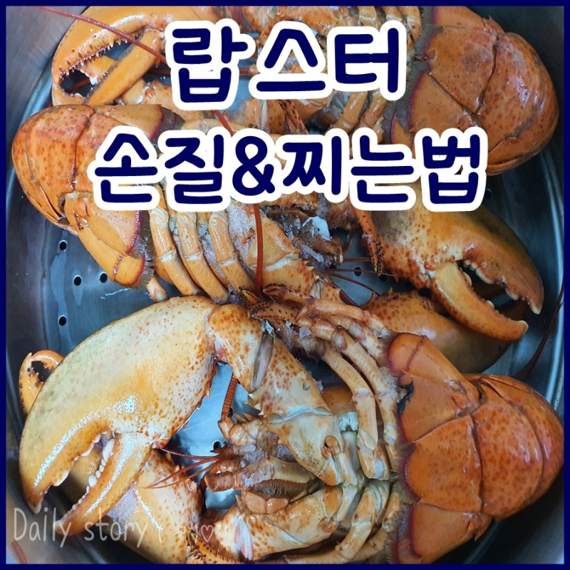 랍스타 손질법 간단하게 쏙! 찌는법 까지 : 네이버 블로그